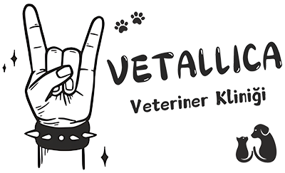 Vetallica Veteriner Kliniği - İstanbul, Kadıköy, Erenköy Veteriner